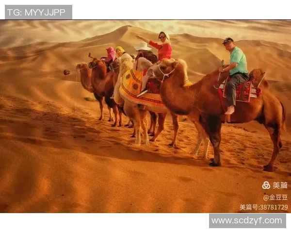 武汉滑板队的阵地战与滑板文化的崛起探讨 武汉滑板队的阵地战与滑板文化的崛起探讨